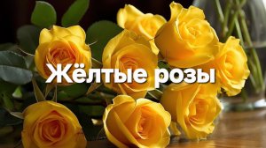 Желтые розы