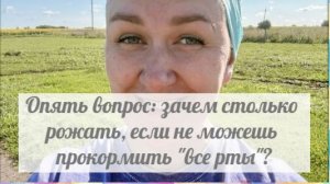 Мели, Емеля, твоя неделя