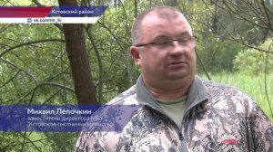 Вода топит дороги и низины в Кстовском районе из-за бобровых плотин