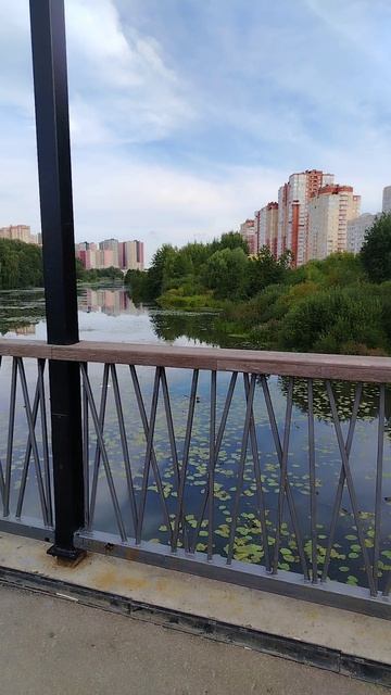 🏞️