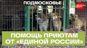 200 кг корма «Молодая Гвардия Единой России» передаст приютам Подмосковья