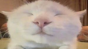 выполняю задания в играх