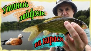 Утиный лайфхак на карася. Ловля на мормышку в городе