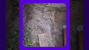 1000067389.mp4 (Собака слушает о технологии устройства канализации в сливную яму у дома А-фрейм)