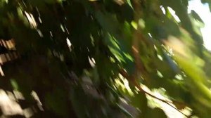 1000006258.mp4