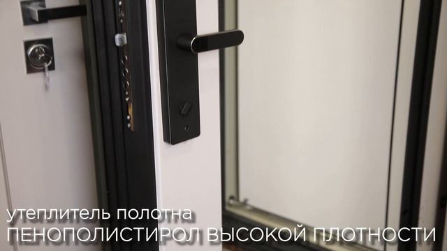 Стальная дверь Scandi с зеркалом (биометрический замок Smart Lock R06)