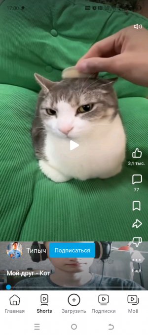 Мурка Сёма Тёма Олег