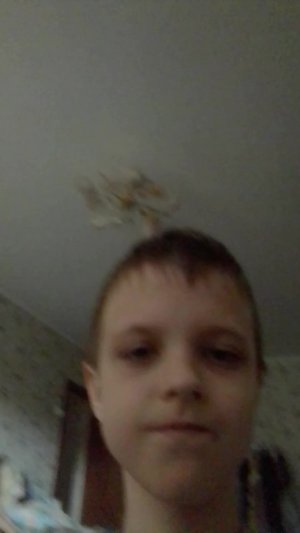стрим