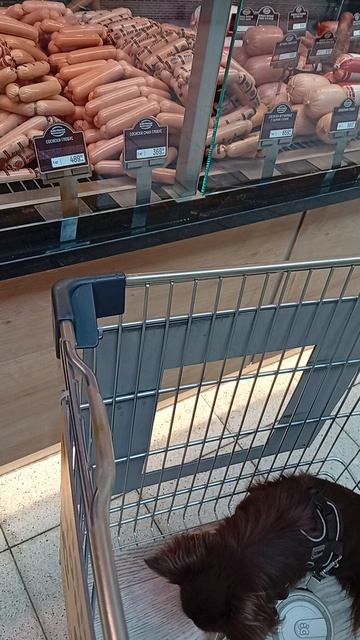 Оливка в колбасном отделе Глобуса