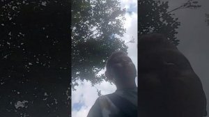 1000000668.mp4