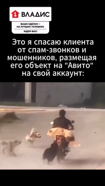 Выставляя объект на продажу, важно отвечать на каждый входящий звонок. При этом около 80 % обращений