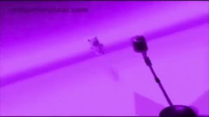 1000003041.mp4