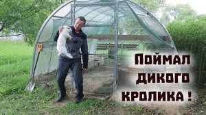 Поймал дикого кролика и разбомбил очередную печь!