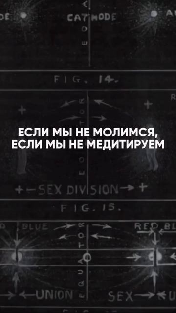 Мы - электромагнитные