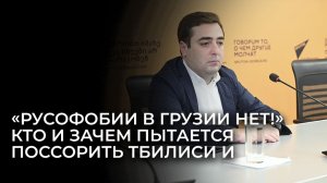 Метревели: Системной русофобии в Грузии нет, безопасность россиян гарантирована властями