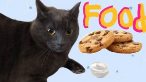 Кошки едят печенье? Пробую еду! Кошка Мила говорящая кошка