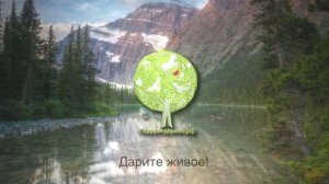 Визитка проекта Подари-Дерево.рф