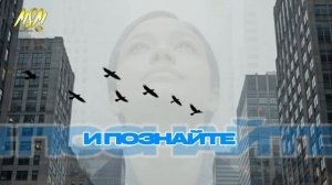 Остановитесь и познайте, что Я — Бог» ✨  Псалом 45:11