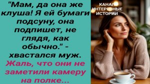 Интересные истории/ Жена - клуша/ Свекровь невестка сын обман