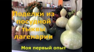 Тыква посудная-лагенария. Поделки из неё.Я только учусь!