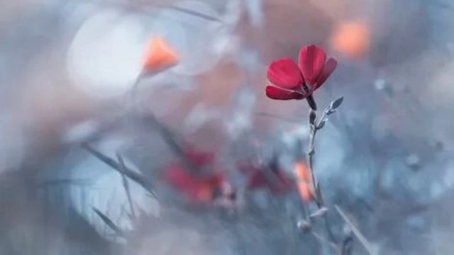 М.М.13) Молимся вместе. Печаль, которая постигла - оставит тебя!