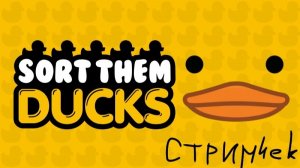 Sort Them DUKS | чилим, стрим без вебки