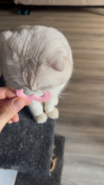 Если человек это не хочет значит не не съедобно 😸