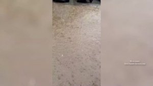 Новости Кирова 17.08.26