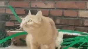 БЫВАЕТ