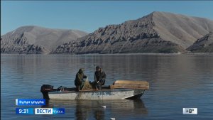 09:30 ВЕСТИ САХА 18/08/26 НА ЯКУТСКОМ ЯЗЫКЕ