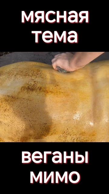 Творческий подход по ведению лпх. Мясо