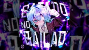 NO BAILÃO