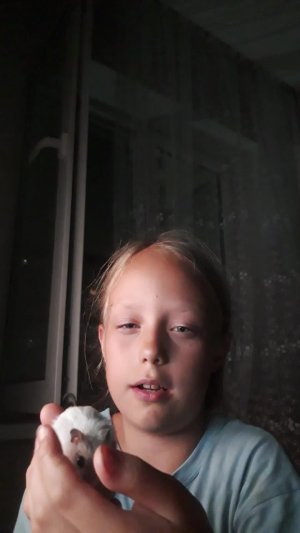 хомяк