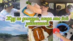ПОЕХАЛИ ЗА ЛЕСНОЙ МАЛИНОЙ😋ВАРЕНЬЕ ИЗ ЕЖЕВИКИ И ДЫНИ 😋ЛЕТО НАДОЕЛО 🙊