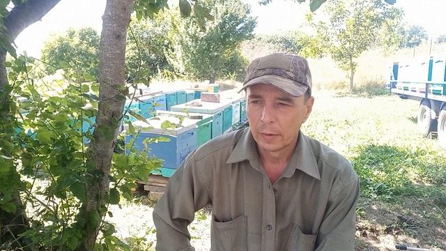 Конец лета, приступаем к закорму пчёл, обработки от клеща