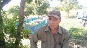 Конец лета, приступаем к закорму пчёл, обработки от клеща