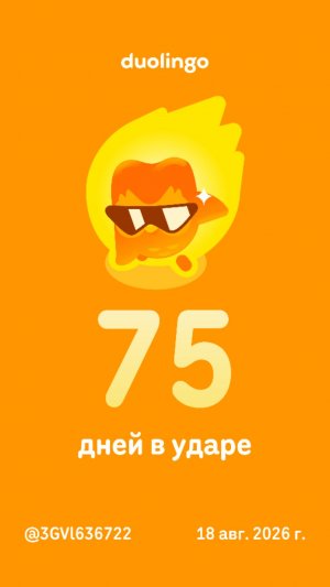 общение