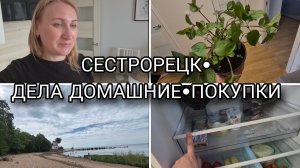 ✅️ВЛОГ 26-27 июля•СЕСТРОРЕЦК•РЕВИЗИЯ В ХОЛОДИЛЬНИКЕ•НАПОЛНИТЕЛЬ и ПЕЛЕНКИ для ХВОСТИКОВ 🐈🦮🐶