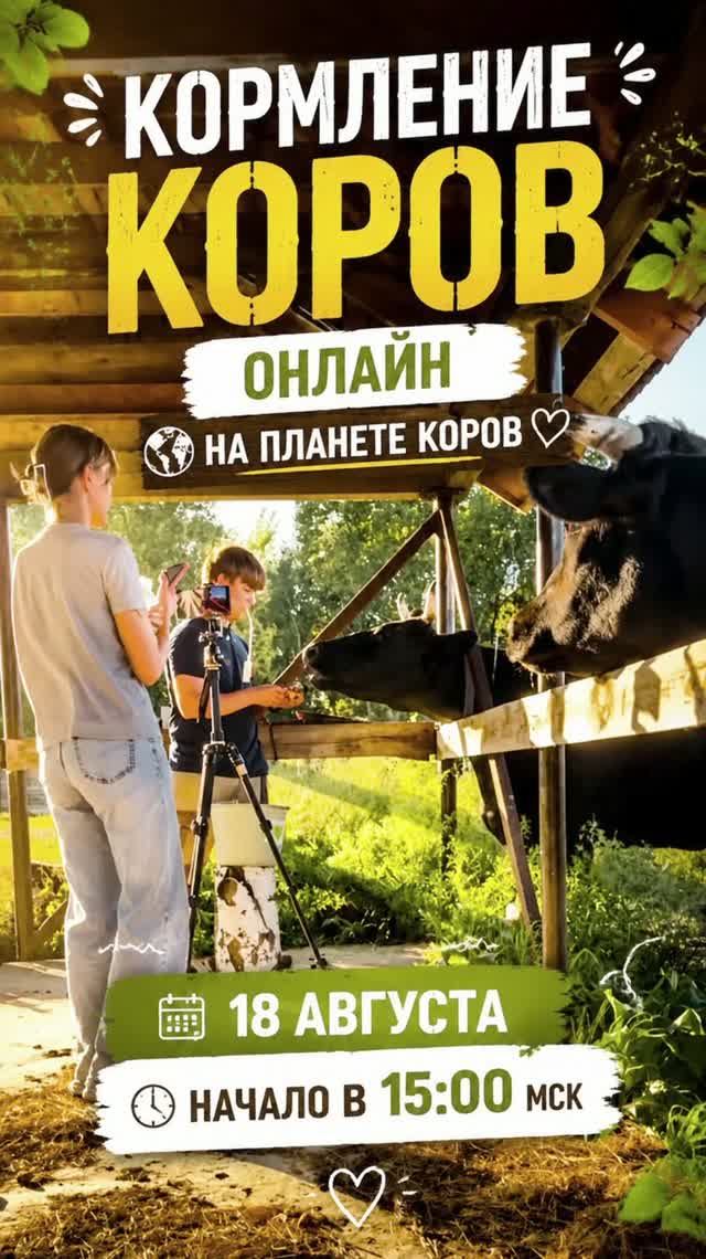18 августа отмечают День лучших друзей - покорми коров за друзей!