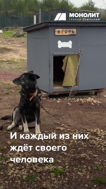 Строим светлое будущее вместе с вами 💙