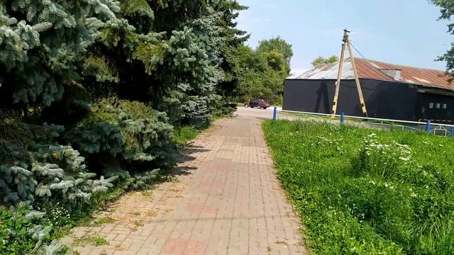 Новополянье! Рассуждения о финансах!
