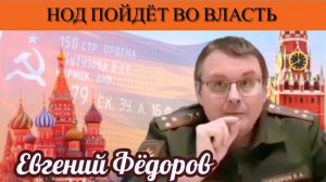 Евгений Фёдоров. НОД пойдёт во власть