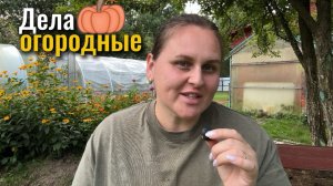 Праздник праздником, а огородные дела никто не отменял