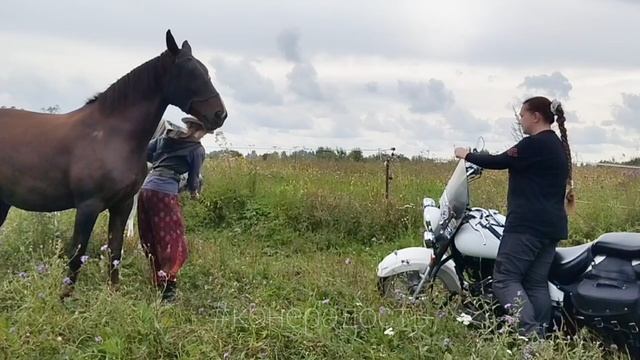 Кони+мото 2 этап: работа