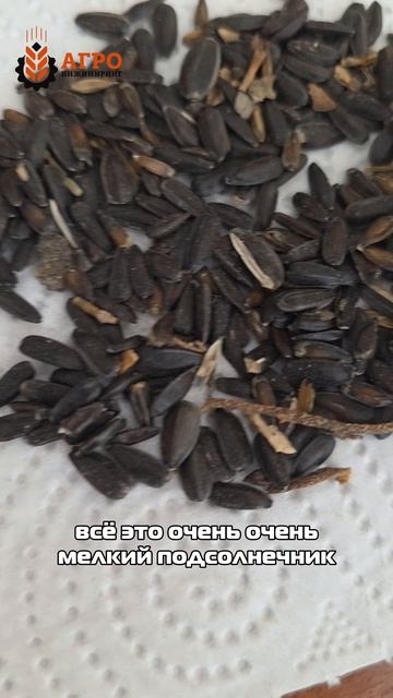 Такого плохого сырья я ещё не видел 🌻