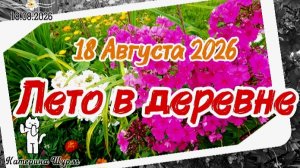 Август |18.08.26 | лето в деревне| деревенские будни| природа, цветы, грядки, теплицы, урожай