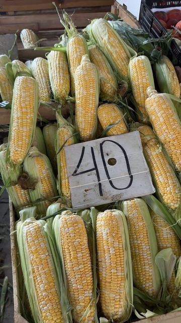 Крым ситуация с продуктами сегодня 17.08.26 Феодосия рынок Крымский