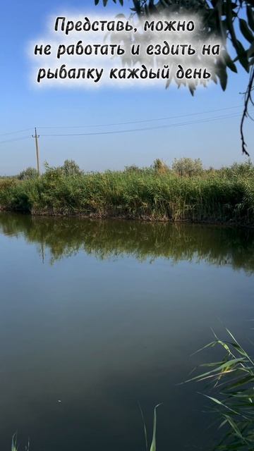 Рыбалка 