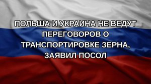 Польша и Украина не ведут переговоров о транспортировке зерна, заявил посол