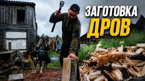 Колка дров под дождем в сибирской деревне | живой контент